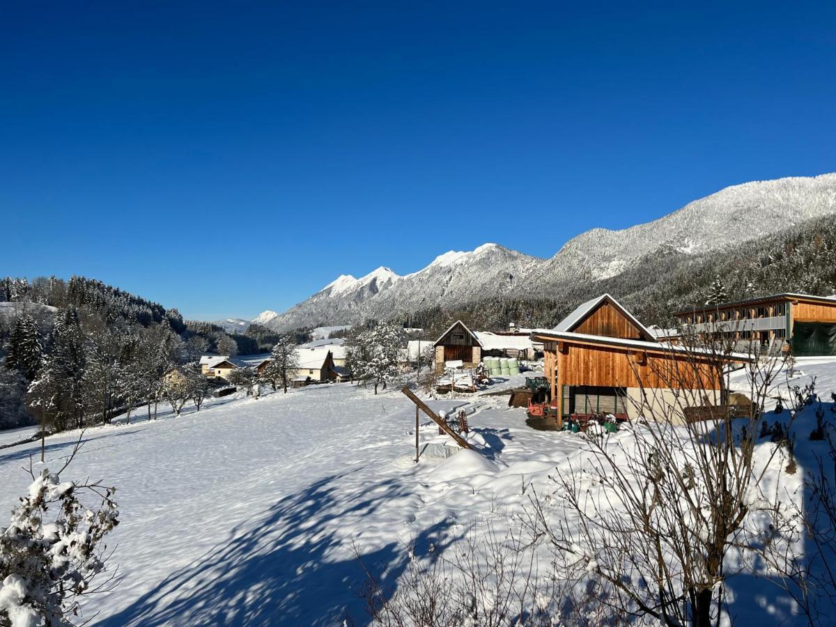 Haus Romsicht Karinthie Villa Kerschdorf Dış mekan fotoğraf