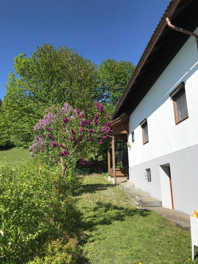 Haus Romsicht Karinthie Villa Kerschdorf Dış mekan fotoğraf